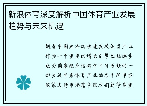 新浪体育深度解析中国体育产业发展趋势与未来机遇